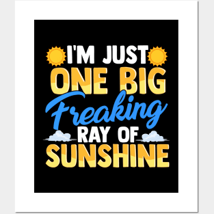 I'm Just One Big Freaking Ray Of Sunshine Posters and Art